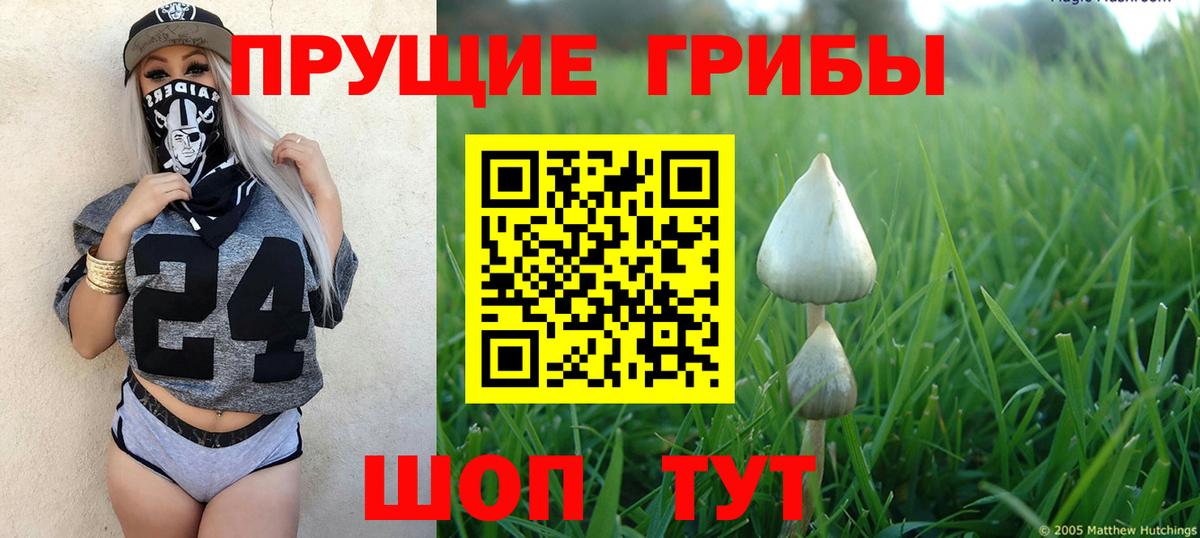 Гагарин  Галлюциногенные грибы мицелий  Псилоцибиновые грибы ЛСД  цены наркотик  Вход с VPN 
